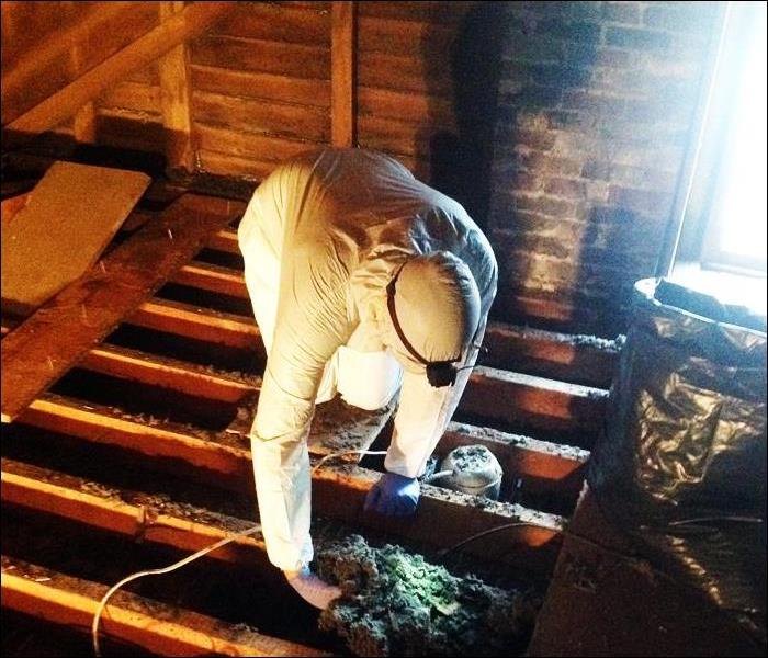 employee in PPE in an attic removing insulation